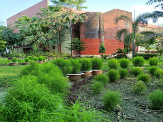 WhatsApp Image 2024-02-28 at 11.10.32 AM