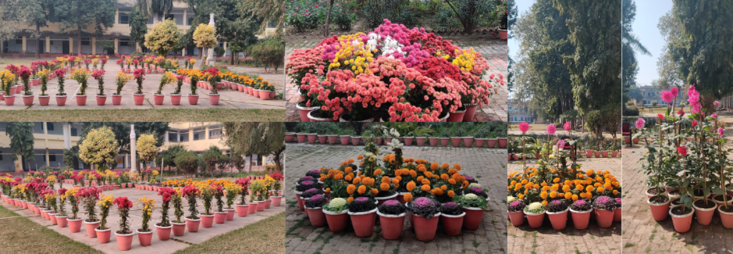 fgc_garden-2024